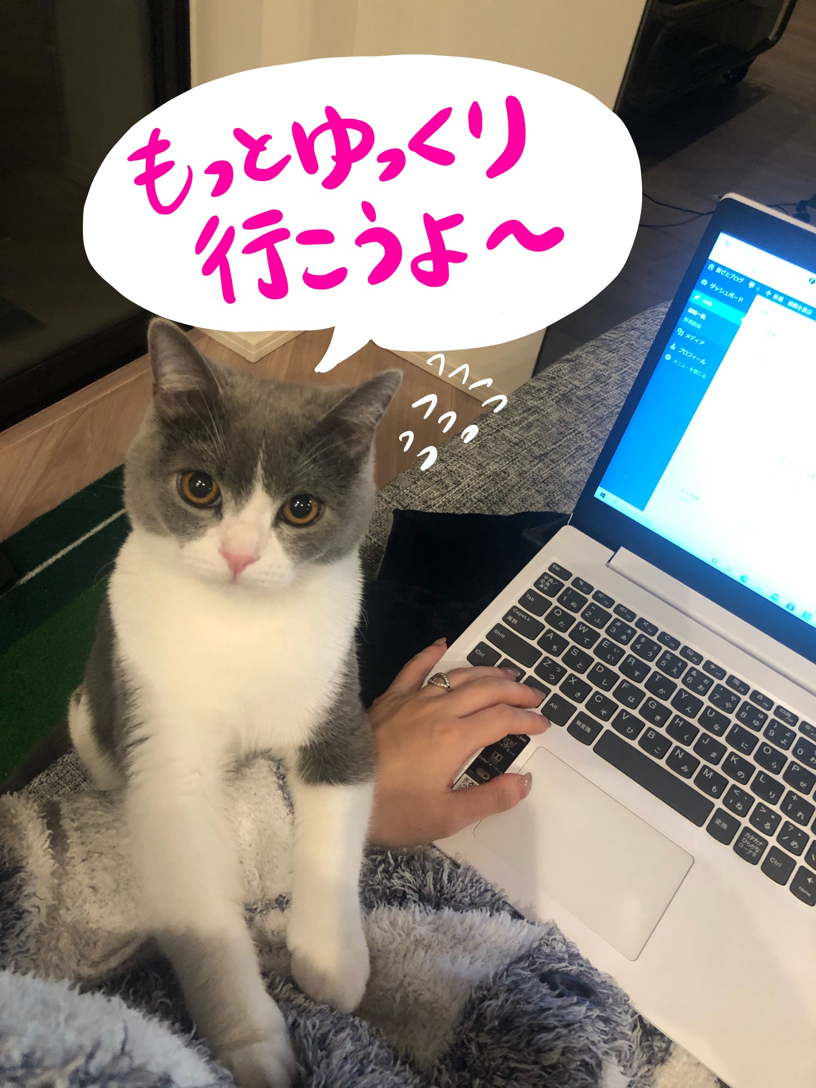 九州男児　せっかち　北海道民