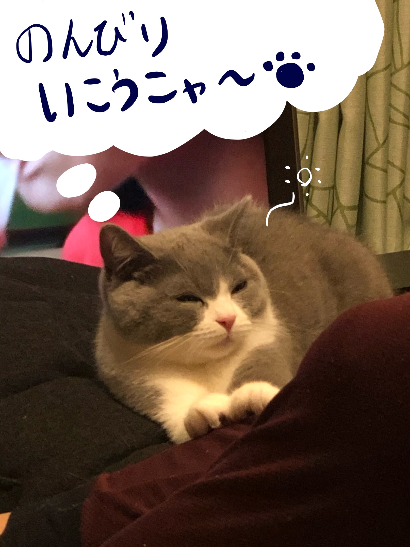 九州民　せっかち　のんびりいこう！