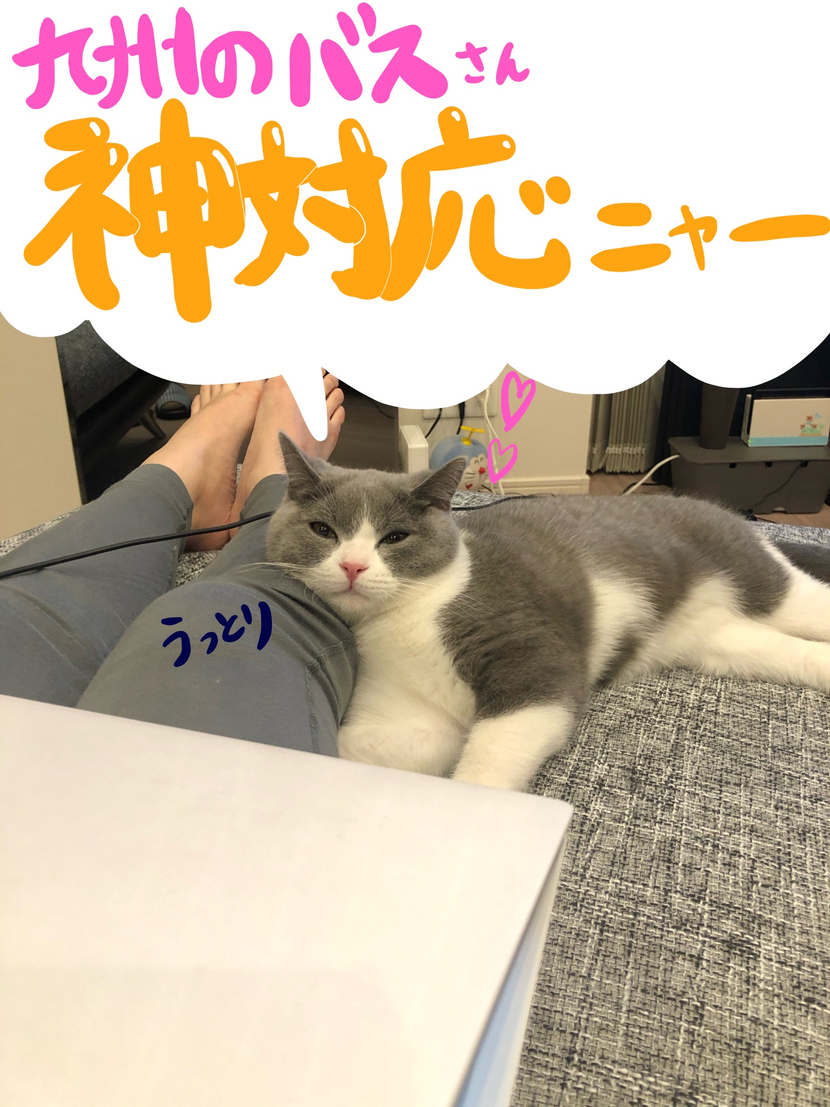 九州のバスは神対応