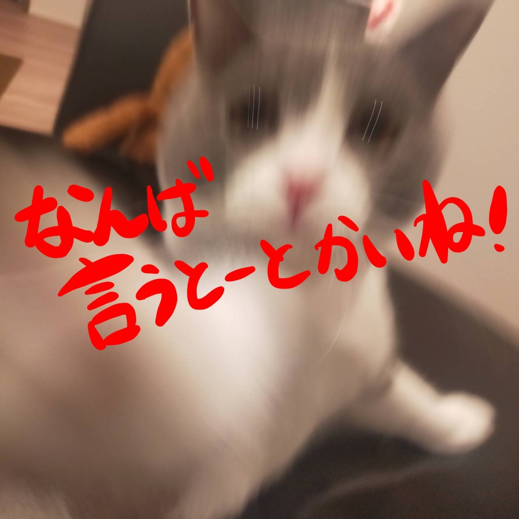 博多弁 方言 なおしといて