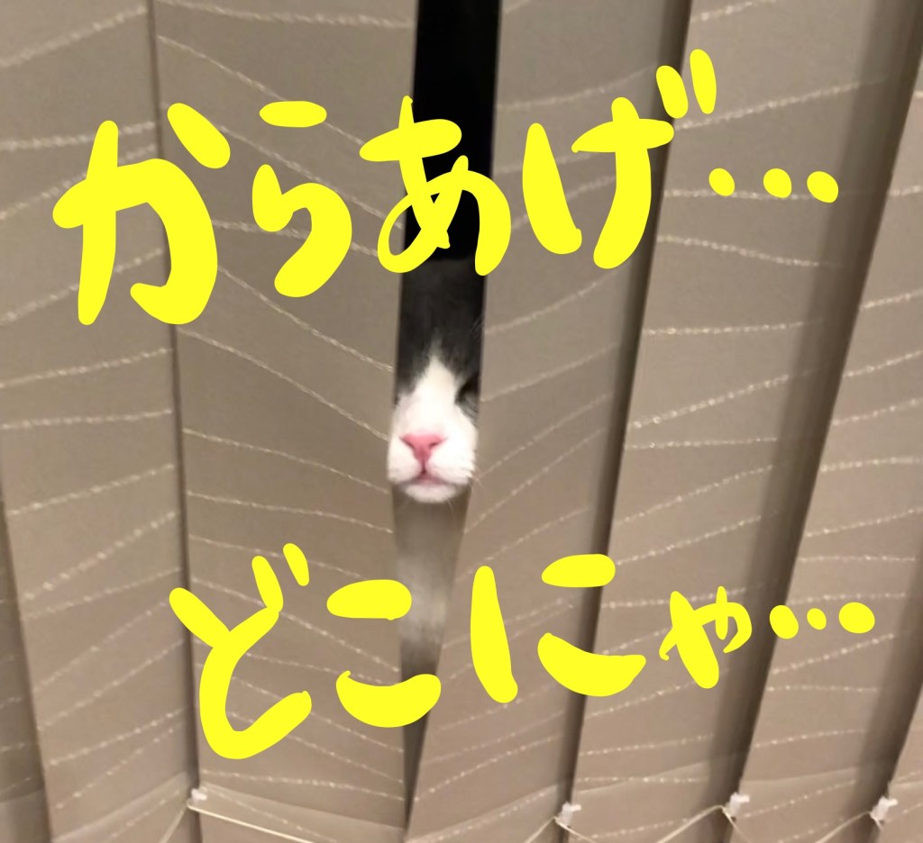 九州　北海道民　おいしい