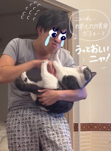 九州男児と猫